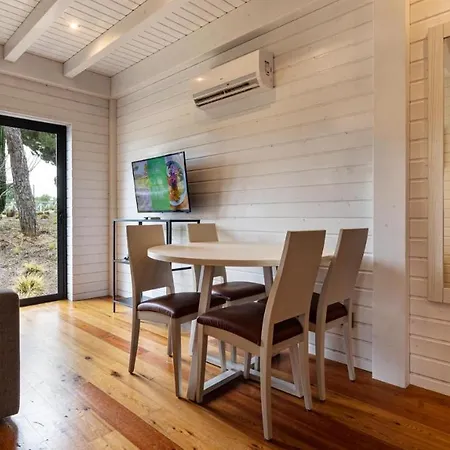 The Magnolia (adults Only) 퀸타도라고